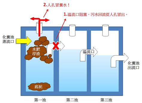 化糞池原理